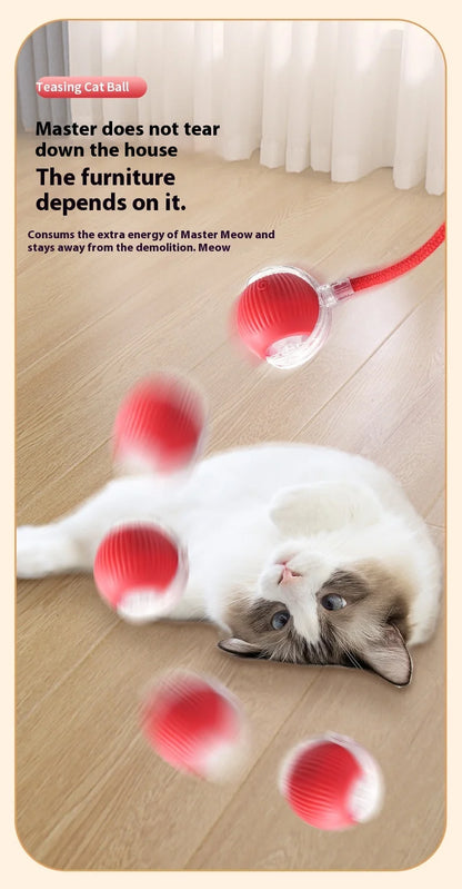 🐾Smart Pet Rolling Ball🧶🐱