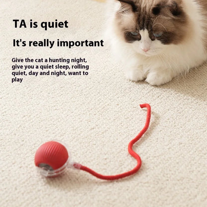 🐾Smart Pet Rolling Ball🧶🐱